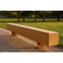Rustic Bench